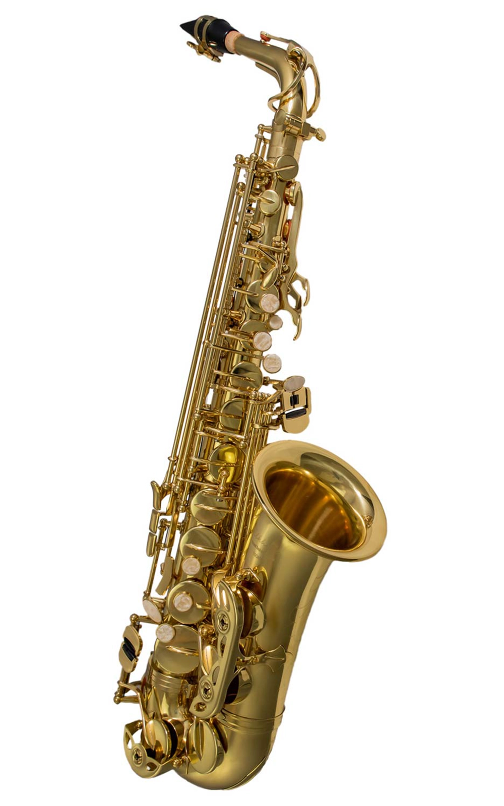 Elkhart 100AS Elkhart by VBI 100AS Student Alto Saxophone - Image 1