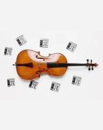 Thomastik-Infeld Peter Infeld Violoncello PI400 - Image 4